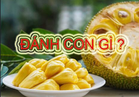 mơ quả mít đánh con gì